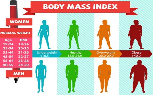 Đơn vị BMI đánh giá thể trạng cơ thể