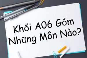 Khối A6 bao gồm những môn học nào?