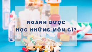 Nganh-Duoc-hoc-nhung-mon-gi-