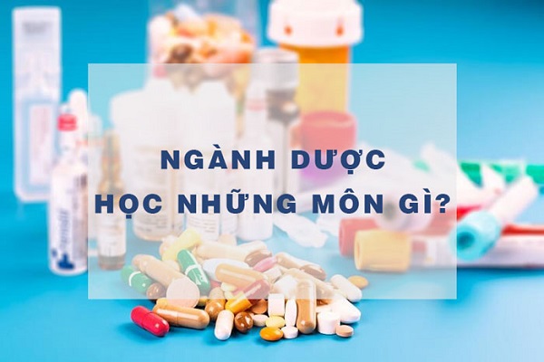 Nganh-Duoc-hoc-nhung-mon-gi-