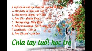 Những bài hát tuổi học trò hay nhất